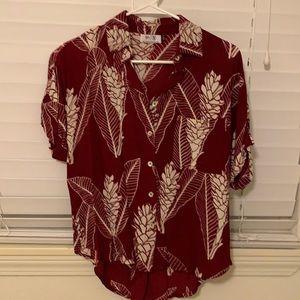 Top Quinn XS Fighting Eel/Sig Zane